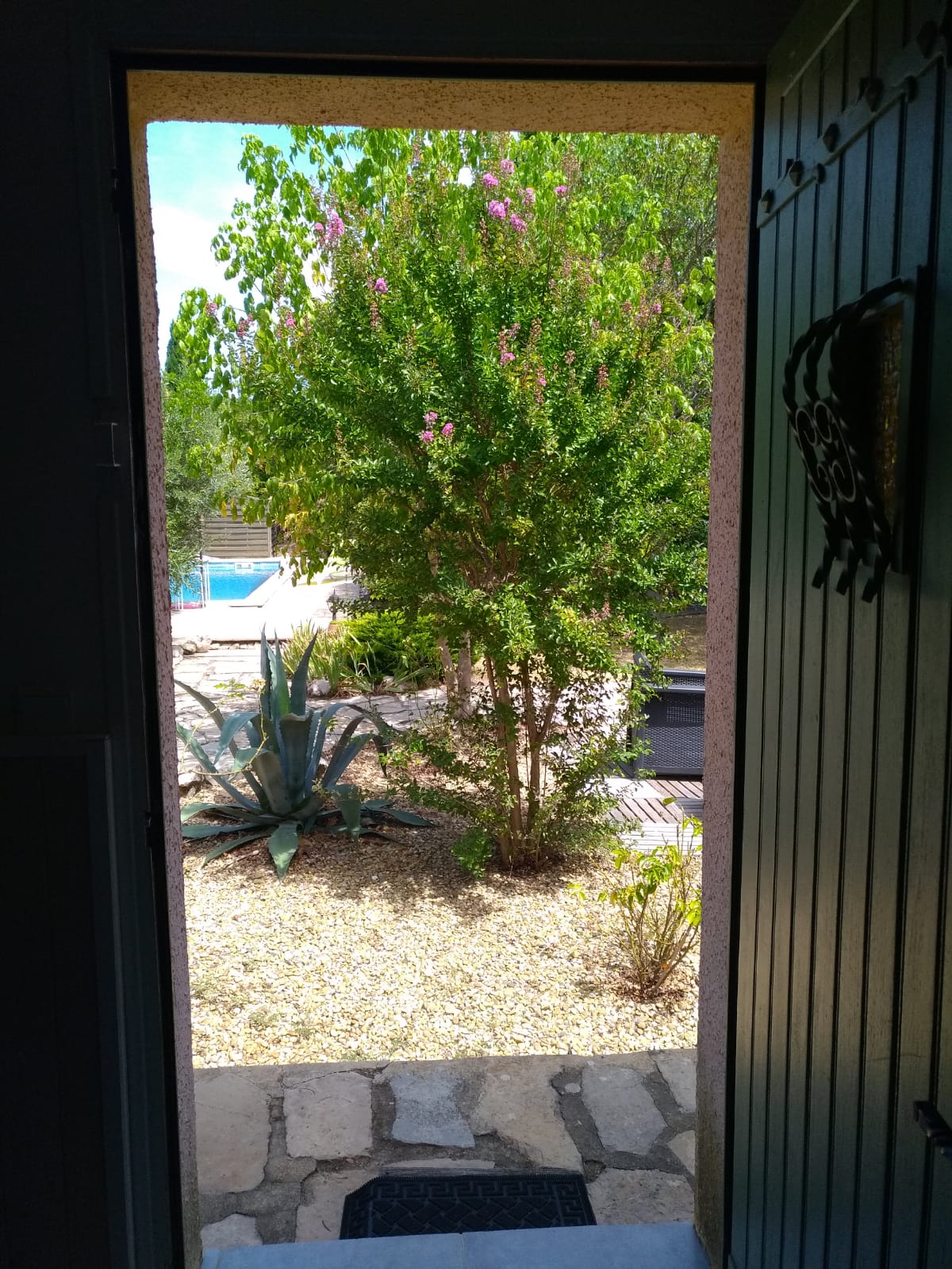 WhatsApp Image 2020-07-12 at 15.03.46 (1)